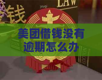美团借钱没有逾期怎么办