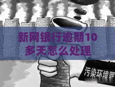 新网银行逾期10多天怎么处理