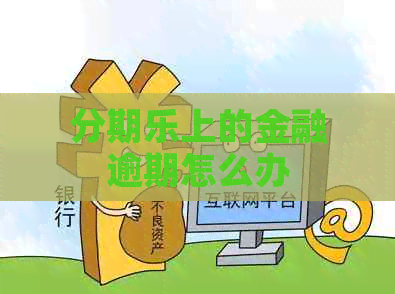 上的金融逾期怎么办