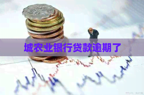 城农业银行贷款逾期了