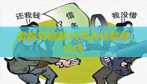 微粒贷逾期30天又还款怎么办