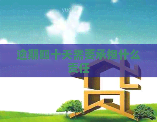 逾期四十天需要承担什么责任
