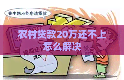 农村贷款20万还不上怎么解决
