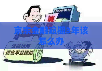 京东金融逾期3年该怎么办