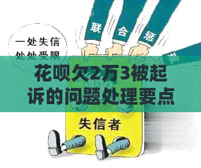 花呗欠2万3被起诉的问题处理要点及条件