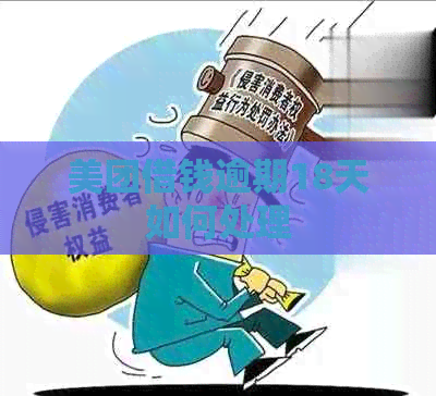 美团借钱逾期18天如何处理