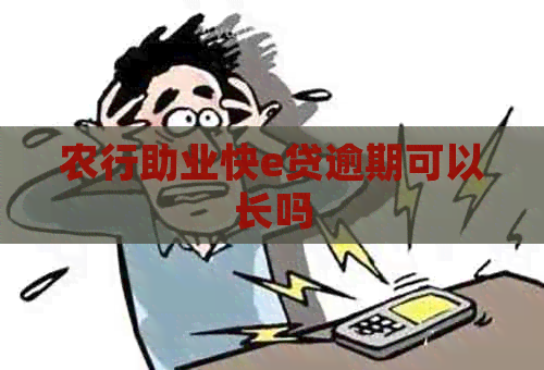 农行助业快e贷逾期可以长吗