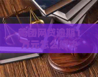 美团网贷逾期1万元怎么解决