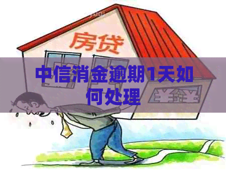 中信消金逾期1天如何处理