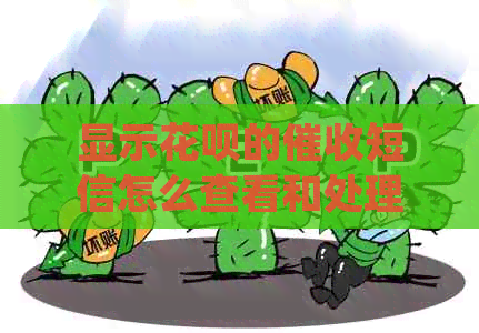 显示花呗的短信怎么查看和处理