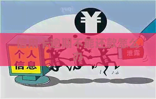 信用卡逾期不能还款怎么办