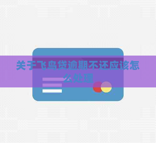 关于飞鸟贷逾期不还应该怎么处理
