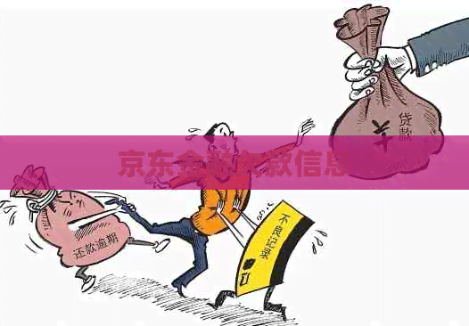 京东金融欠款信息