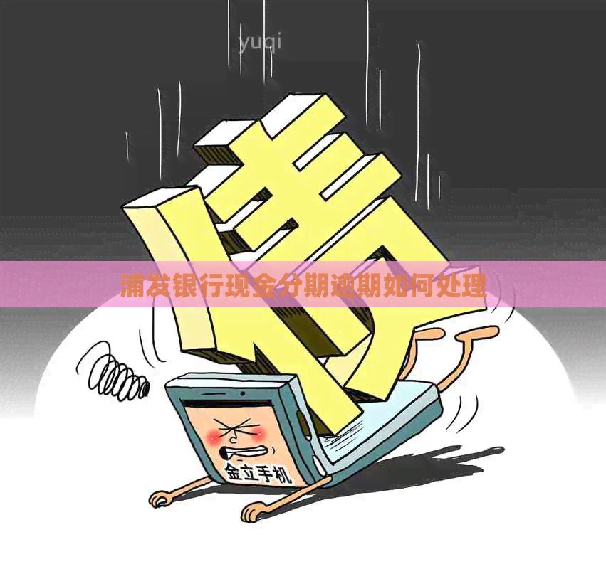 浦发银行现金分期逾期如何处理