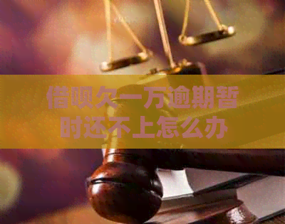 借呗欠一万逾期暂时还不上怎么办