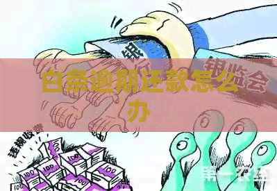 白条逾期还款怎么办