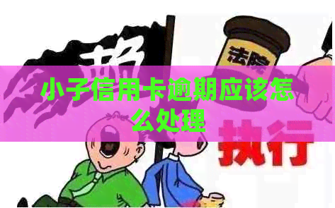 小子信用卡逾期应该怎么处理