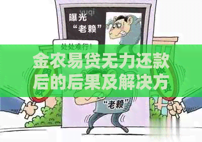 金农易贷无力还款后的后果及解决方法