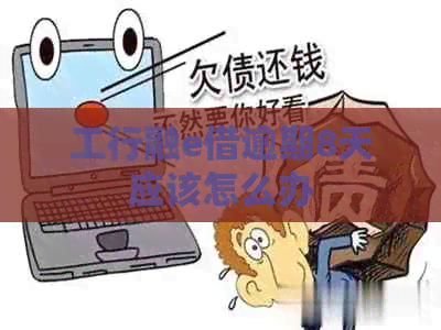 工行融e借逾期8天应该怎么办
