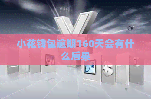 小花钱包逾期160天会有什么后果