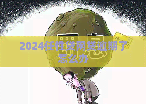 2024任性贷网贷逾期了怎么办