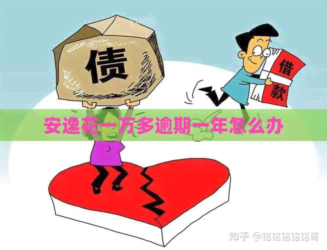 安逸花一万多逾期一年怎么办