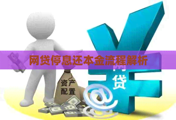 网贷停息还本金流程解析