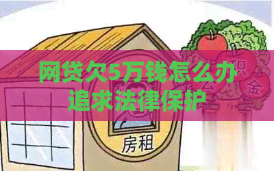网贷欠5万钱怎么办追求法律保护
