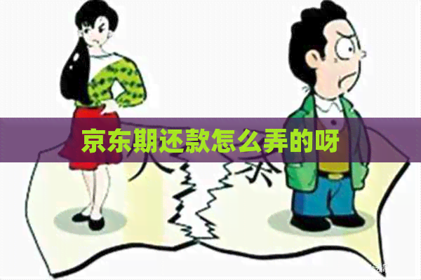 京东期还款怎么弄的呀