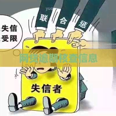 网贷逾期核查信息