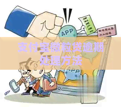 支付宝微粒贷逾期处理方法