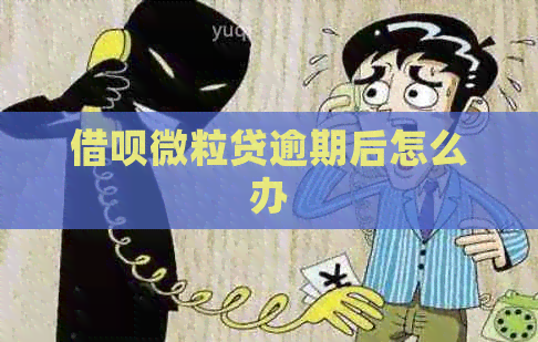 借呗微粒贷逾期后怎么办