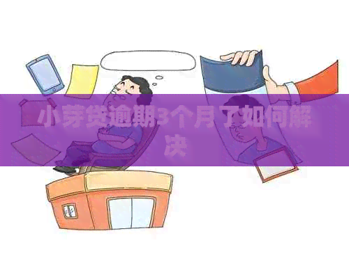 小芽贷逾期3个月了如何解决