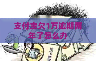支付宝欠1万逾期两年了怎么办
