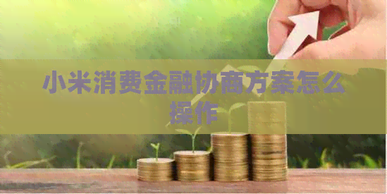 小米消费金融协商方案怎么操作