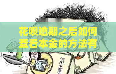 花呗逾期之后如何查看本金的方法有哪些