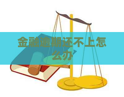 金融逾期还不上怎么办
