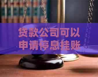 贷款公司可以申请停息挂账吗