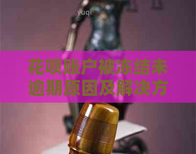 花呗账户被冻结未逾期原因及解决方法