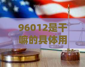 96012是干嘛的具体用途是什么