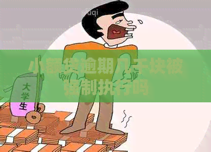 小额贷逾期几千块被强制执行吗