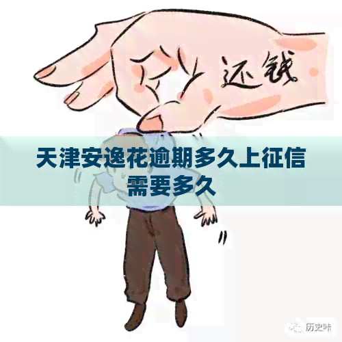 天津安逸花逾期多久上需要多久