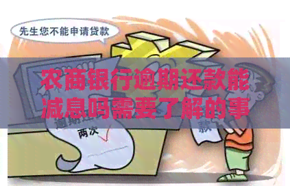 农商银行逾期还款能减息吗需要了解的事项