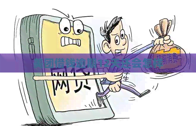 美团借钱逾期12天还会怎样