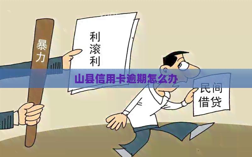 山县信用卡逾期怎么办