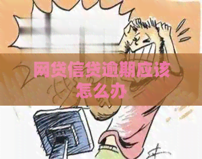网贷信贷逾期应该怎么办