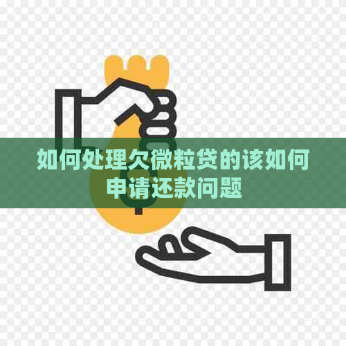如何处理欠微粒贷的该如何申请还款问题