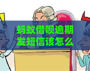 蚂蚁网贷逾期发短信该怎么办