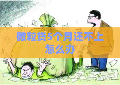 微粒贷5个月还不上怎么办