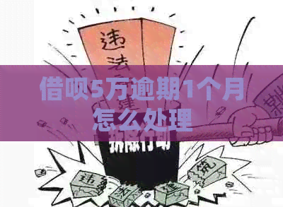 网贷5万逾期1个月怎么处理